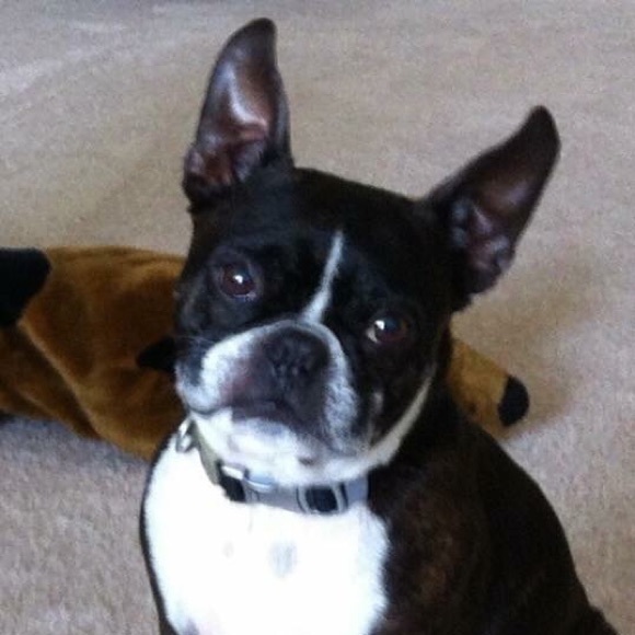 Meet your Posher, Kimberly - Picture 1 of 1